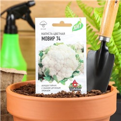 Семена Капуста цветная "Мовир 74", ц/п, 0,1 г  серия ХИТ х3
