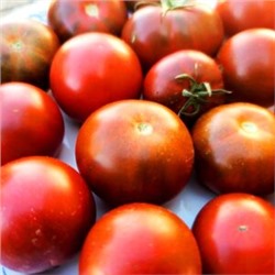 Помидоры Брауни Шоколадно-Вишнёвое Пироженое — Chocolate Cherry Brownie Tomato (10 семян)