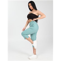 Портленд - бриджи фисташковый