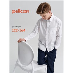 PELICAN Сорочка