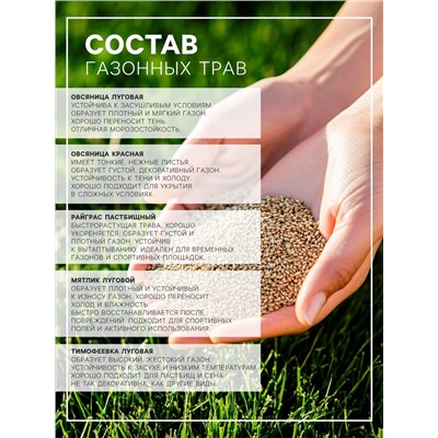 Газонная травосмесь «Детский» 5 кг