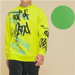 BFN3335 толстовка для мальчиков (1 шт в кор.)