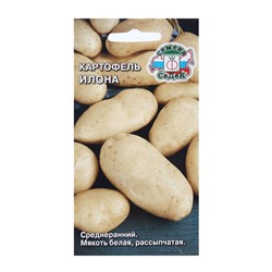 Семена картофель «Илона», 0.02 г