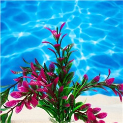 Растение искусственное