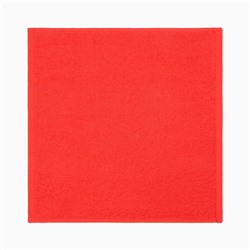 Полотенце махровое «Этель. Дед Мороз», 30×30 см, хлопок 100%
