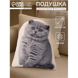 Подушка декоративная «Этель» Fluffy kitten, 40×33 см, велюр