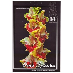 Гладиолус Огни Арбата (Код: 7357)