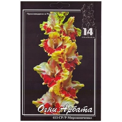 Гладиолус Огни Арбата (Код: 7357)