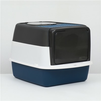Туалет закрытый прозрачный 51×34×37 см, синий+совок