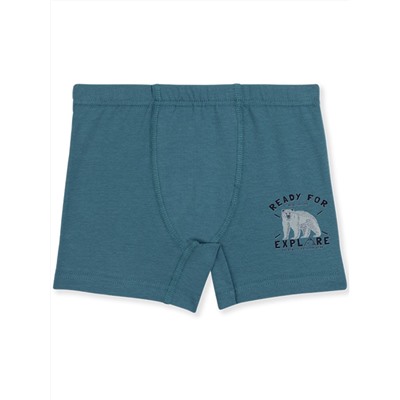 3554 Боксеры для мальчиков многоцвет (BAYKAR)