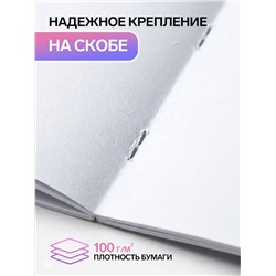 Альбом для рисования Calligrata А4, 40 листов, на скрепке, обложка из мелованного картона, МИКС