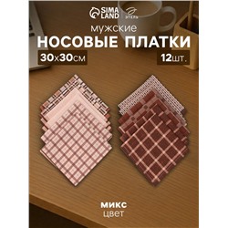Платки носовые мужские «Этель», 30×30 см, набор 12 шт., 100% хлопок, коричневые, рисунок МИКС