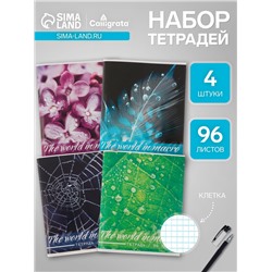 Набор тетрадей, 96 листов в клетку Calligrata «Макро», 4 штуки