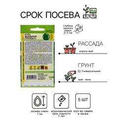 Семена Огурец "Ясельная Группа",  F1, 5 шт