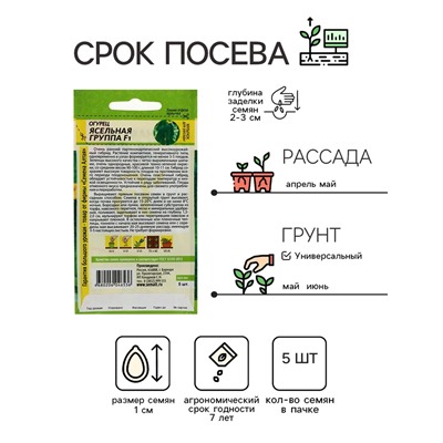 Семена Огурец "Ясельная Группа",  F1, 5 шт