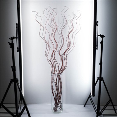 Сухоцвет набор 20 штук 120 см / 120cm-BR /уп 10/300/коричневая