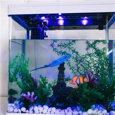 Декор для аквариума «Клоун оцеллярис», 6.6×4.3 см, с неоновым эффектом, силикон