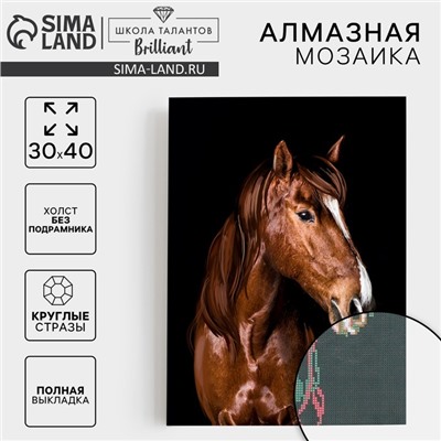 Алмазная мозаика с полным заполнением на холсте «Жеребец», 30 х 40 см
