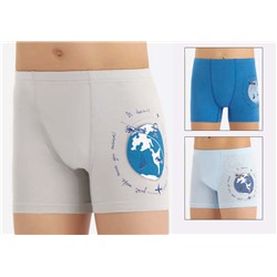 3658 Боксеры для мальчиков многоцвет (BAYKAR)