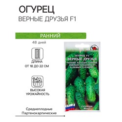 Семена Огурец "Верные друзья F1", раннеспелый, 0,15 г