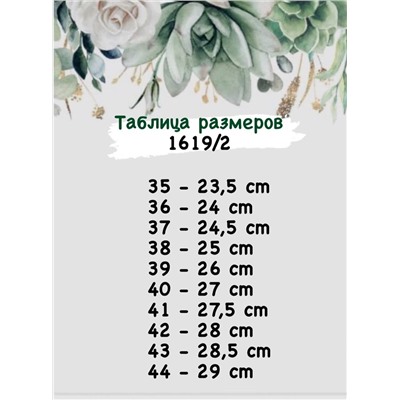 Ab. Zapatos 1619 · MUSHROOM+Pelle Ab.Zapatos VIGA (1170) АКЦИЯ