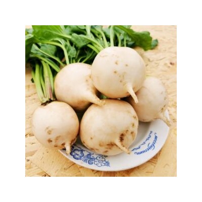 Свёкла Детройтская Белая — White Detroit Beet (40 семян)