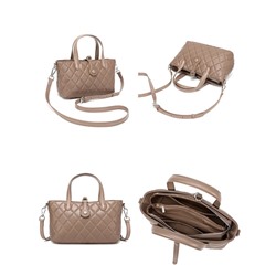 DOLAND LION  Сумка женская / кожа /   99-12