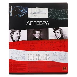 Набор предметных тетрадей 36 листов, ErichKrause Timeline, 12 шт.