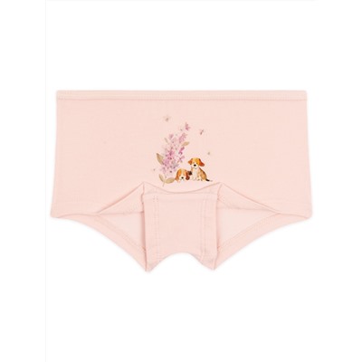 5710 Трусы шорты девочка многоцвет (BAYKAR)