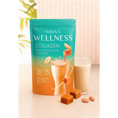 Протеиновый коктейль с коллагеном и жиросжигающим комплексом Wellness, вкус «Арахис в карамели»