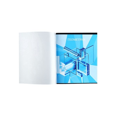 Предметная тетрадь по геометрии Calligrata TOP «Школьный стиль», 48 листов, в клетку, со справочным материалом, пластиковая обложка