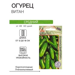 Семена Огурец «Витан», 10 шт., «Агрос»