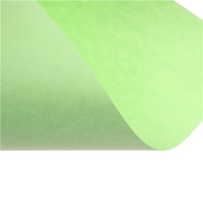 Бумага цветная Calligrata, А4, 250 листов, 10 цветов, пастель, интенсив, 80 г/м²