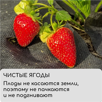 Материал мульчирующий, 5×0.8 м, плотность 80 г/м², с УФ-стабилизатором, чёрный, Greengo, Эконом 30%