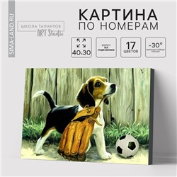 Картина по номерам на холсте с подрамником «Щенок с мячом», 40×30 см