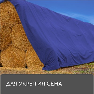 Тент защитный, 6×4 м, плотность 180 г/м², УФ, люверсы шаг 1 м, синий