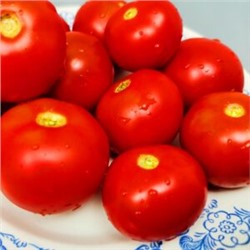 Помидоры Верблюжёнок Трудяга — Camel Hardworker Tomato (10 семян)