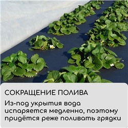 Материал мульчирующий, 5×0.8 м, плотность 80 г/м², с УФ-стабилизатором, чёрный, Greengo, Эконом 30%