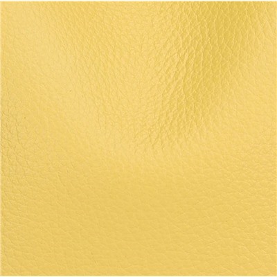 DOLAND LION  Сумка женская / кожа / 1638