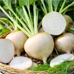 Свёкла Детройтская Белая — White Detroit Beet (40 семян)