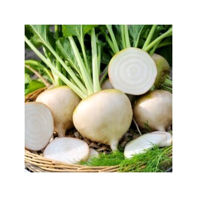 Свёкла Детройтская Белая — White Detroit Beet (40 семян)