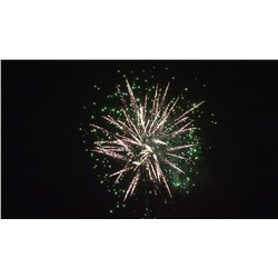 Фейерверк РС9240 Любовь и голуби (0,8", 1", 1,2" х 288)