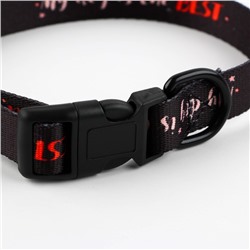 Ошейник My dog is the best, застёжка - фастекс, 2 см 25-40 см