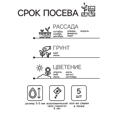 Семена цветов Пеларгония "Арба", Евро, 5 шт