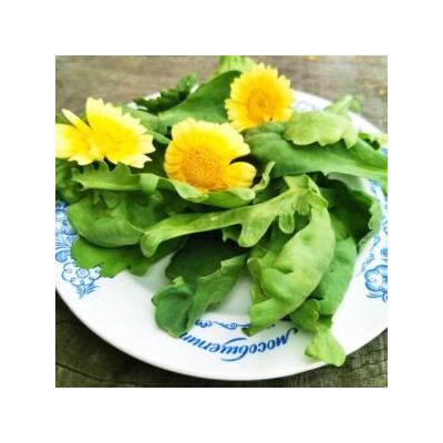 皇帝菜茼蒿 — Китайская Императорская Овощная Широколистная Хризантема (100 семян)