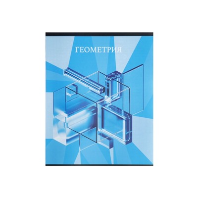 Предметная тетрадь по геометрии Calligrata TOP «Школьный стиль», 48 листов, в клетку, со справочным материалом, пластиковая обложка