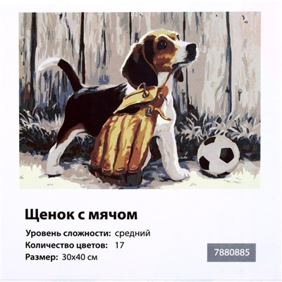 Картина по номерам на холсте с подрамником «Щенок с мячом», 40×30 см