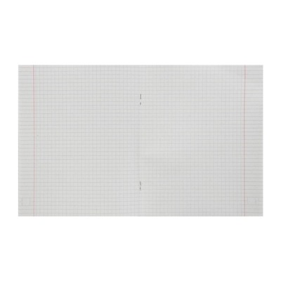 Комплект тетрадей из 4 штук, 48 листов в клетку Calligrata Лисички, обложка мелованная бумага, блок №2, белизна 75% (серые листы)