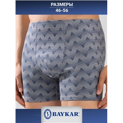 1227-512 Боксеры мужские (BAYKAR)