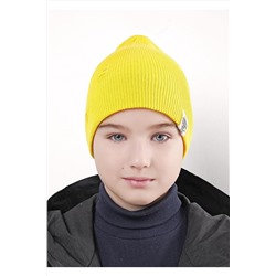 Шапка 1087911